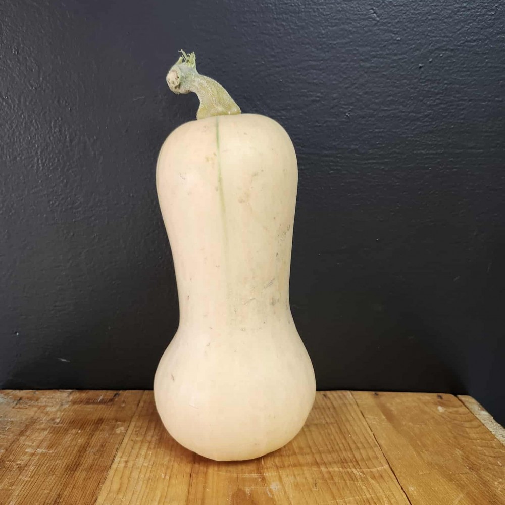 Squash - Butternut - Locally Grown - each