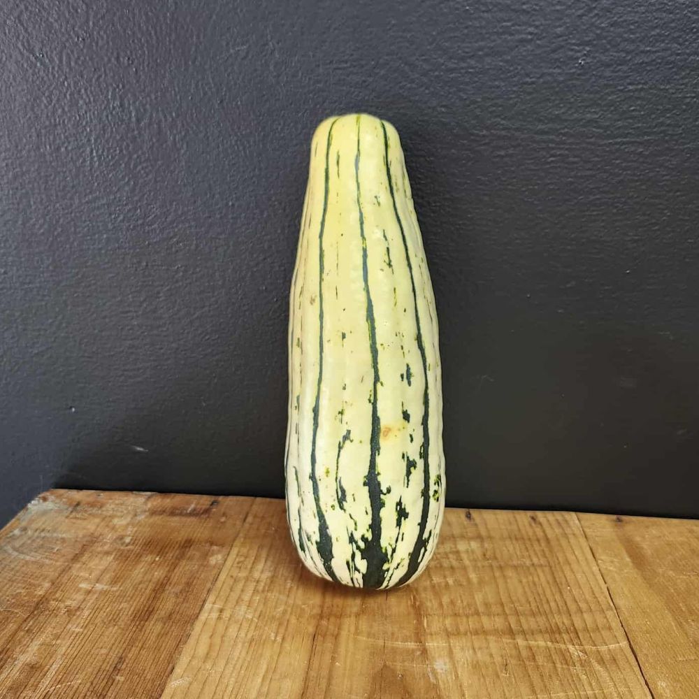 Squash - Delicata - Locally Grown - Each