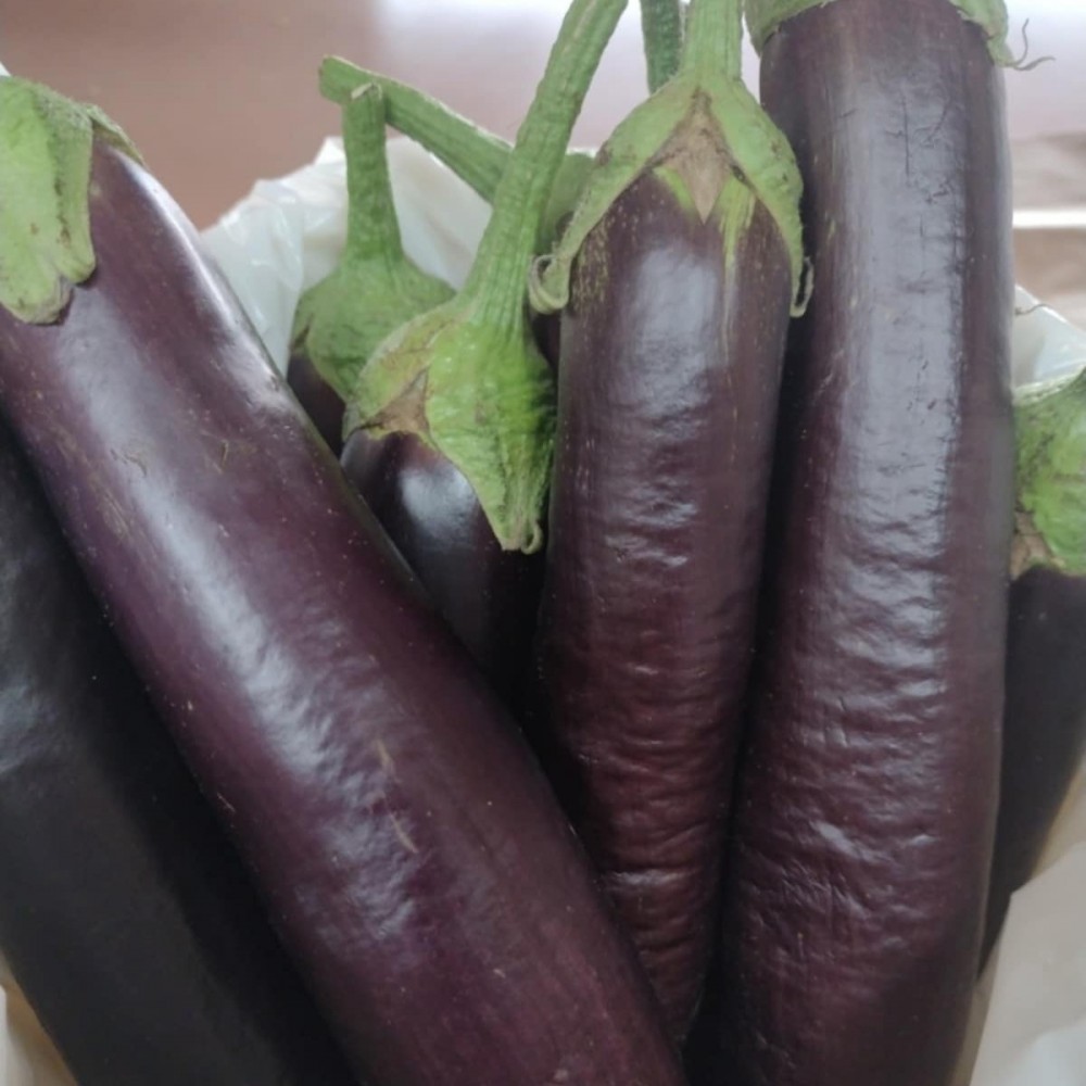 Eggplant - Lebanese Style - Locally Grown - Each