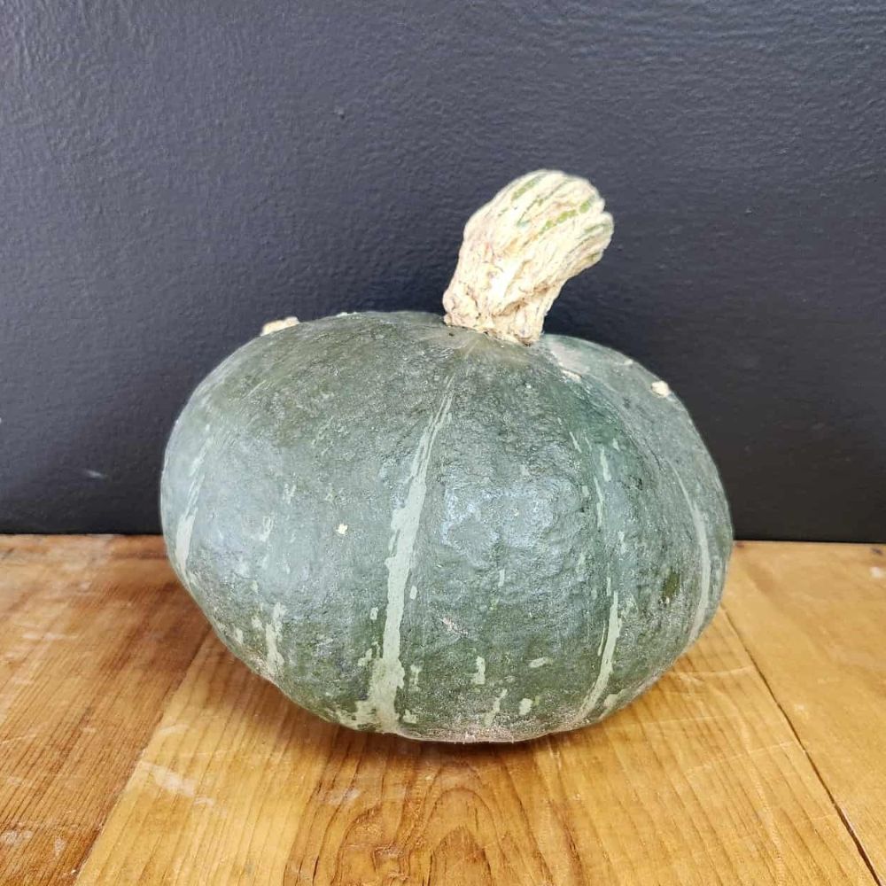 Squash - Kabocha - Locally Grown - Each