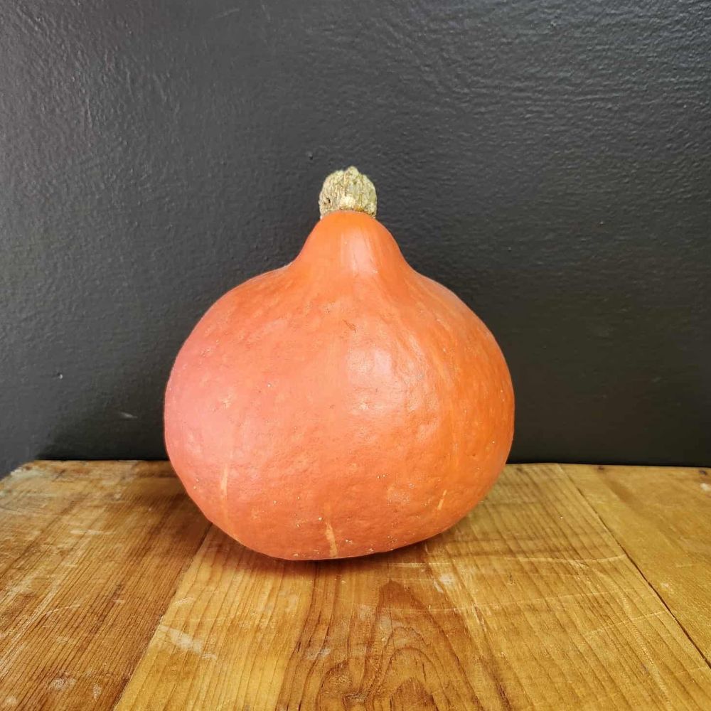 Squash - Red Kuri - Locally Grown - each